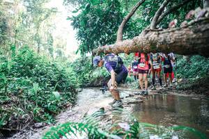 BIB: 
                            <button type="button" onclick="openModal(25460617)" class="btn btn-primary btn-sm float-right btn-popup" data-toggle="modal" data-target=".modal-high-quality">
                        <i class="fas fa-shopping-cart"></i> Add to Cart
                    </button>
                                            <button type="button" onclick="isThisMe(25460617, true)" class="btn btn-success btn-sm float-right btn-popup btn-isme hidden" data-toggle="tooltip" data-placement="bottom" title="นี่คือรูปของคุณใช่ไหม คลิกที่นี่เพื่อเอาเข้าอัลบั้ม">
                        <i class="fas fa-plus"></i> Add to album
                    </button>
                    <button type="button" onclick="isThisMe(25460617, false)" class="btn btn-warning btn-sm float-right btn-popup btn-isnotme hidden">
                        <i class="fas fa-ban"></i> Remove from album
                    </button>